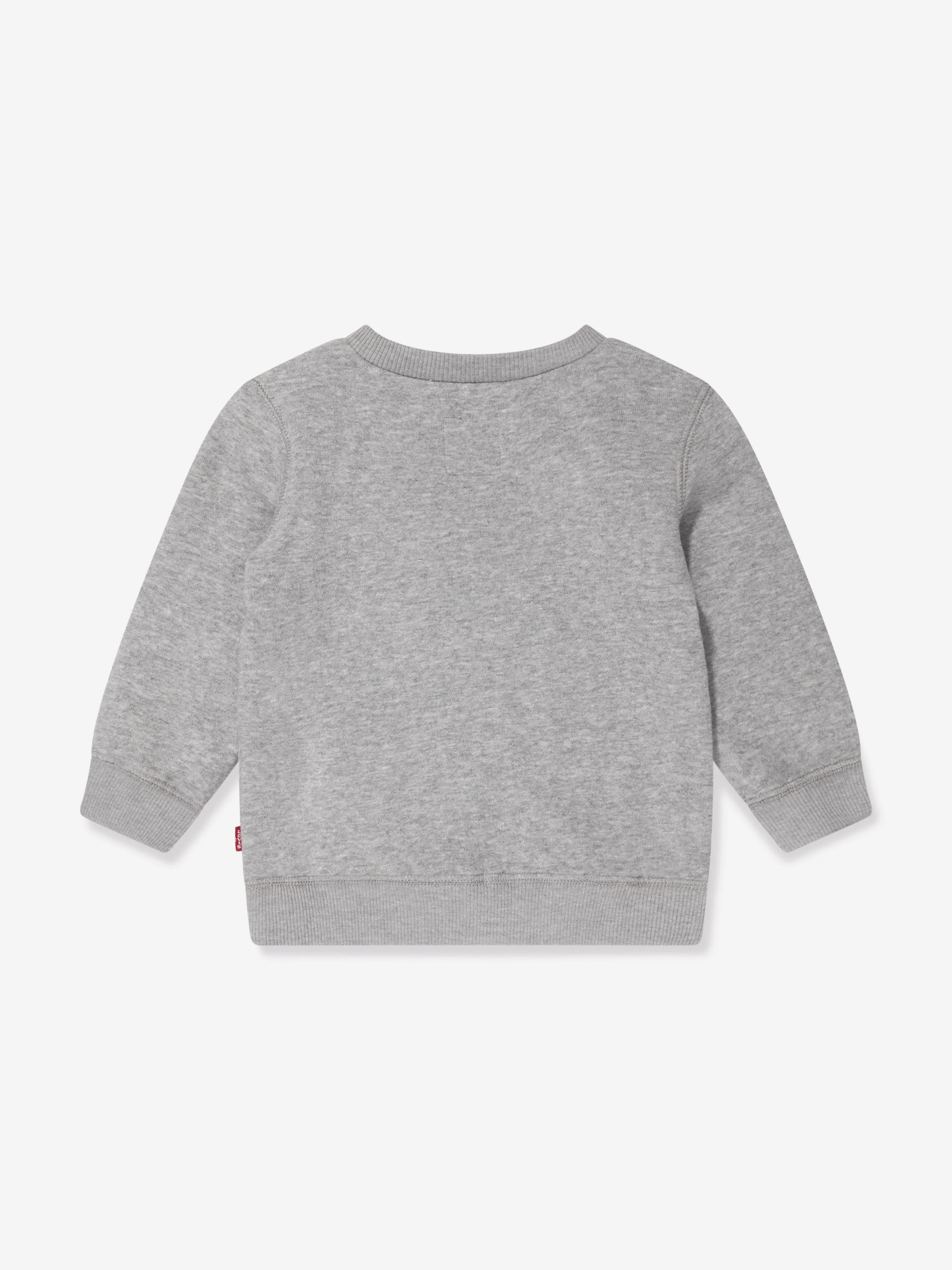 Baby Boys Batwing Crewneck Sweatshirt in Grey